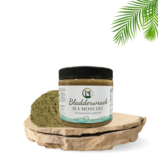 Bladderwrack Sea Moss Gel